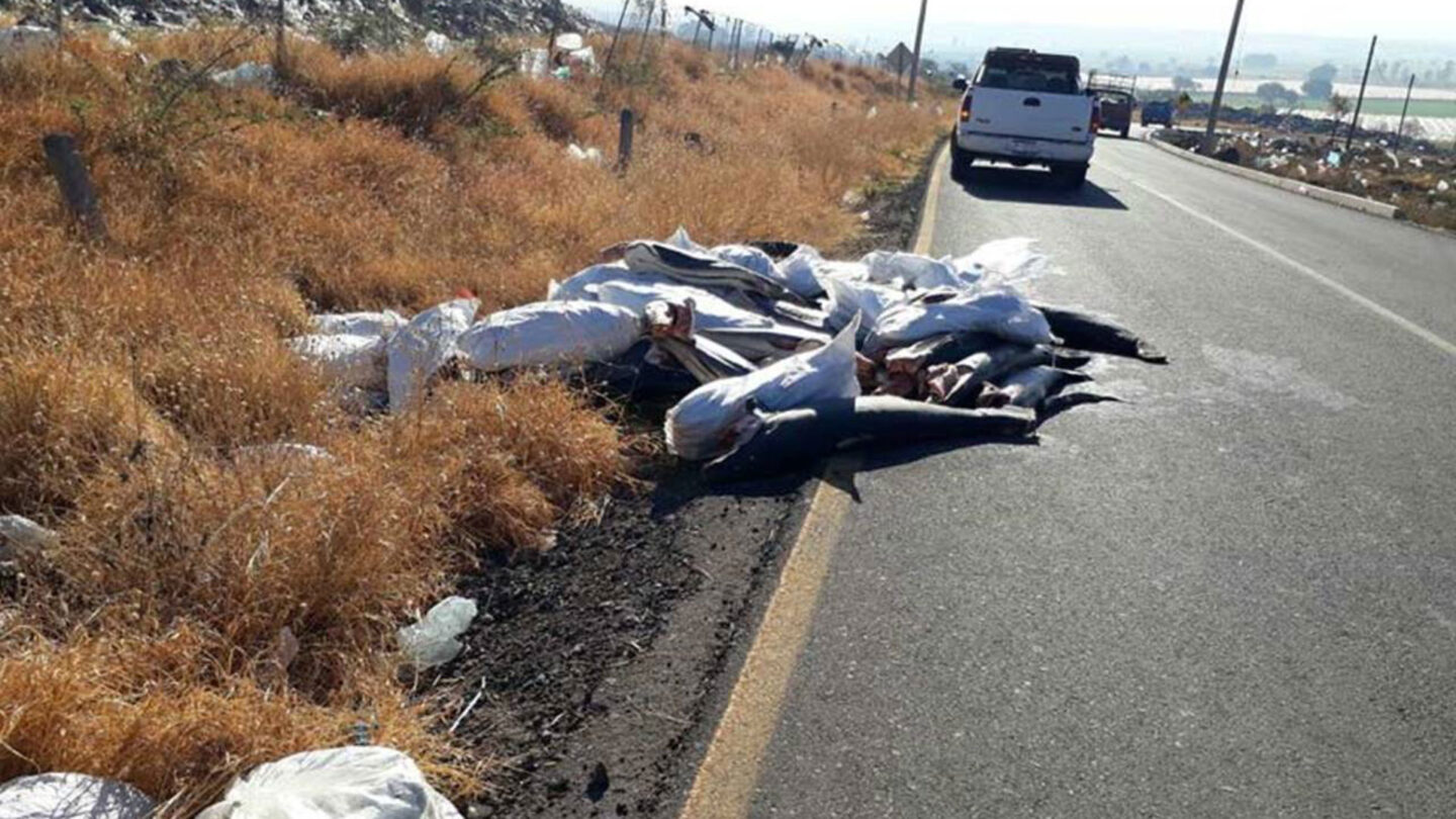 La más extraña masacre al costado de una carretera en México |