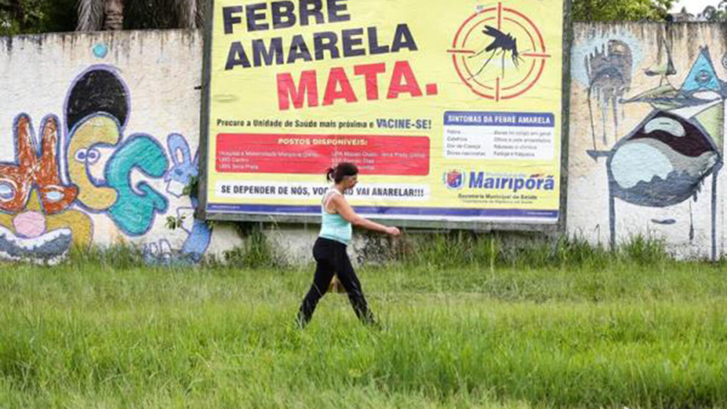 El Gobierno de San Pablo reconoció que hay un brote de fiebre amarilla |