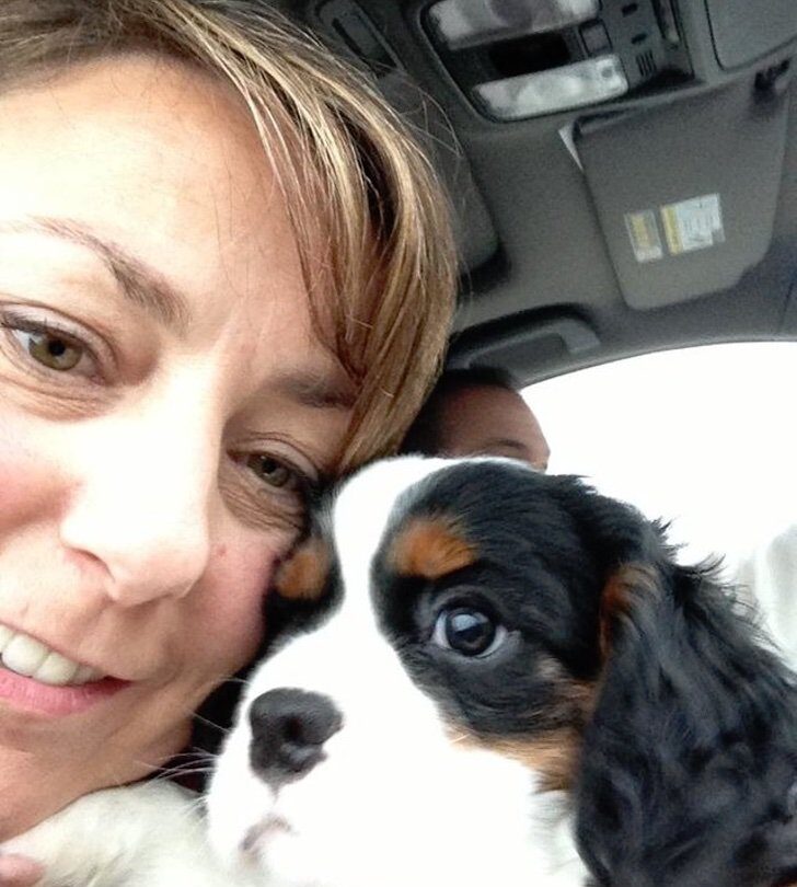 Perdió la paciencia y el ánimo educando a su cachorro Pero él se disculpó con hermosas flores |