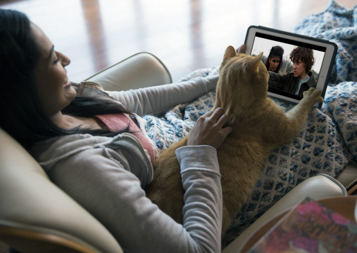 tu-perro-o-gato-el-companero-ideal-para-ver-netflix-02 | México Ahora