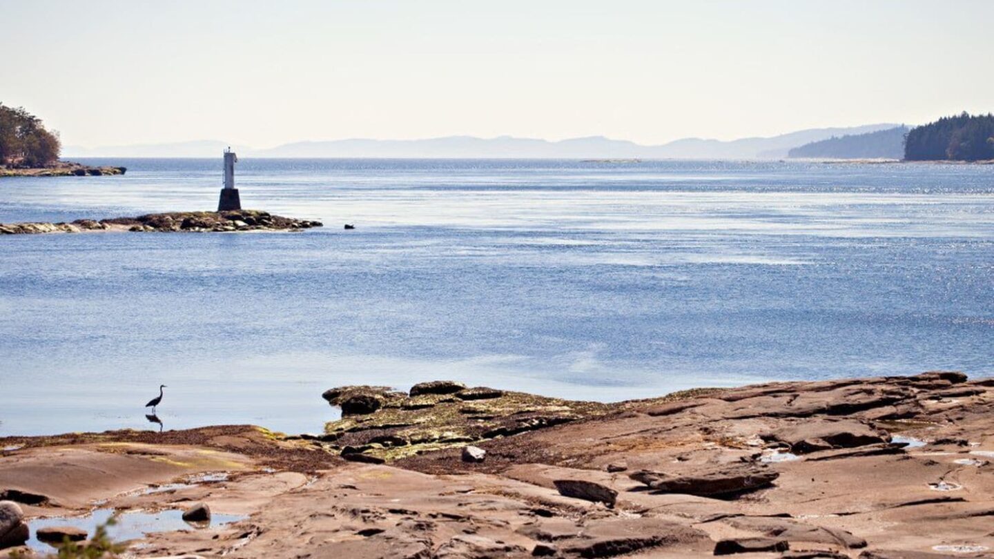 Un pie humano el número 14 de una serie misteriosa apareció en una playa de Canadá |