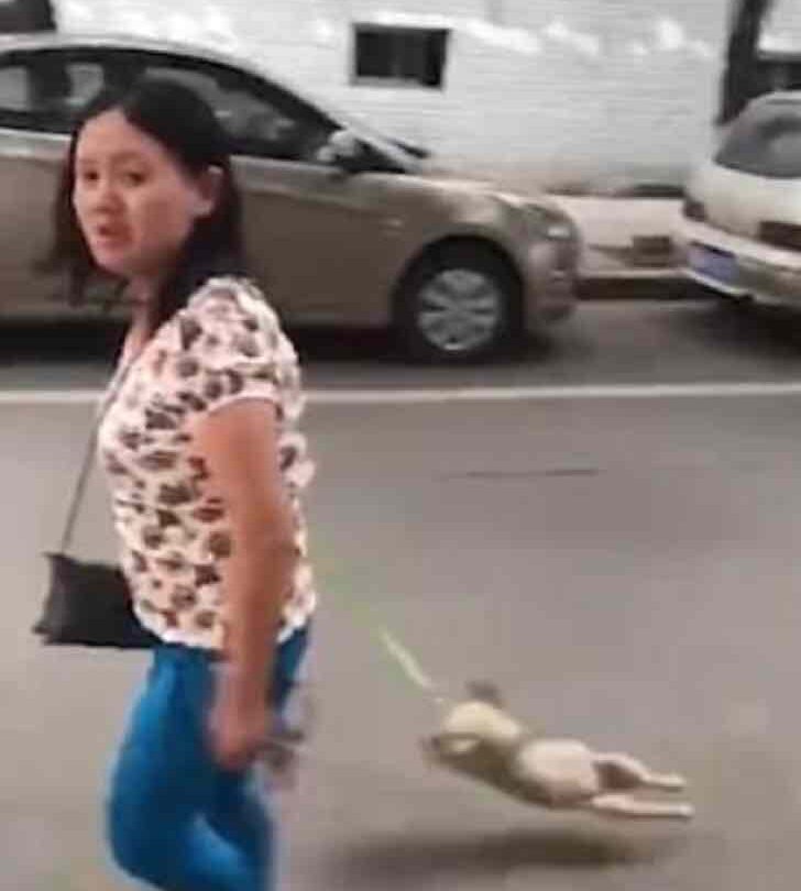 Tira a su perro con fuerza y lo levanta en el aire Lo obligó a dar un paseo de la forma más cruel |