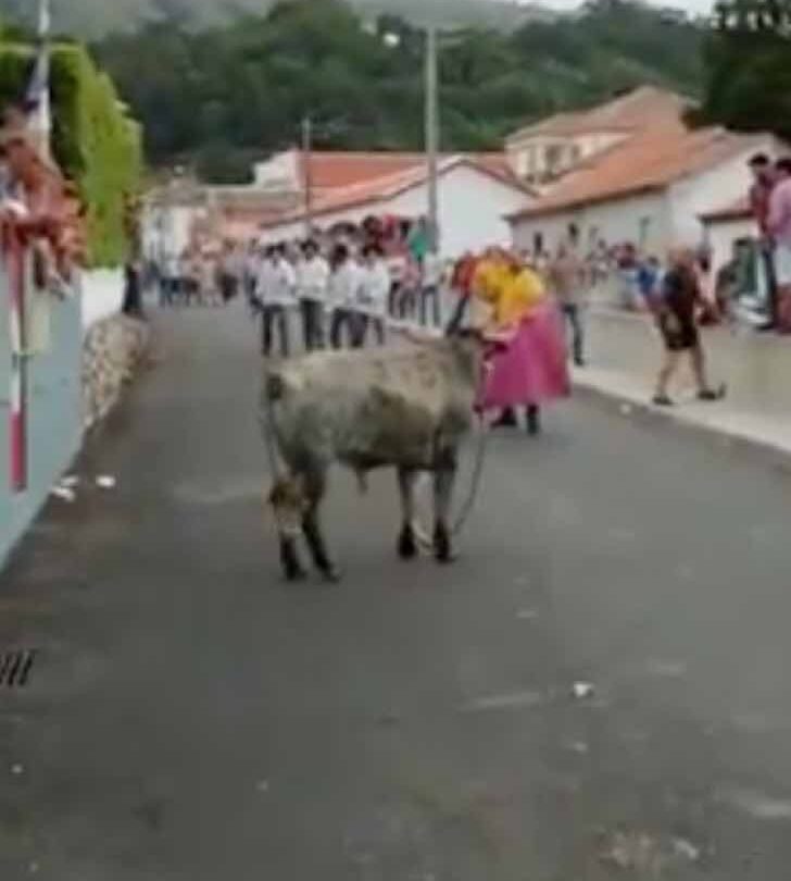 Con su hijo de 3 años en brazos provoca a un toro en la calle El animal corre furioso tras ellos |