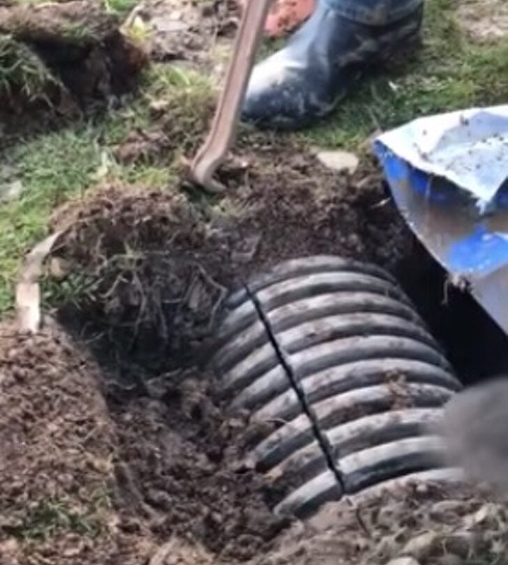 Oyeron quejidos desde la tierra y cavaron un hoyo Al cortar una tubería un montón de pelo apareció |