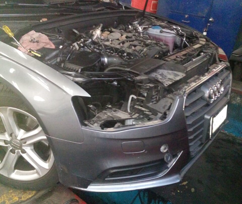 WhatsApp Image 2018 08 31 at 155119 Encuentran SERPIENTE en el motor de un AUDI en CDMX mientras lo reparaban |