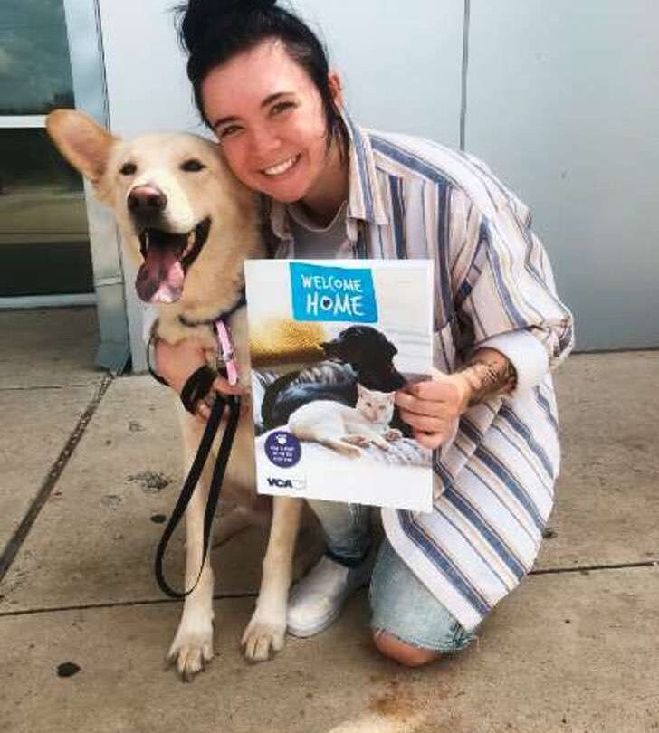 Hizo creer a su mamá que compraría un sándwich Queda en shock cuando ve llegar a casa un perro |