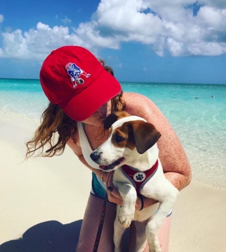 Aunque no lo creas hay una isla en la que puedes jugar con perros Y no no es una broma |