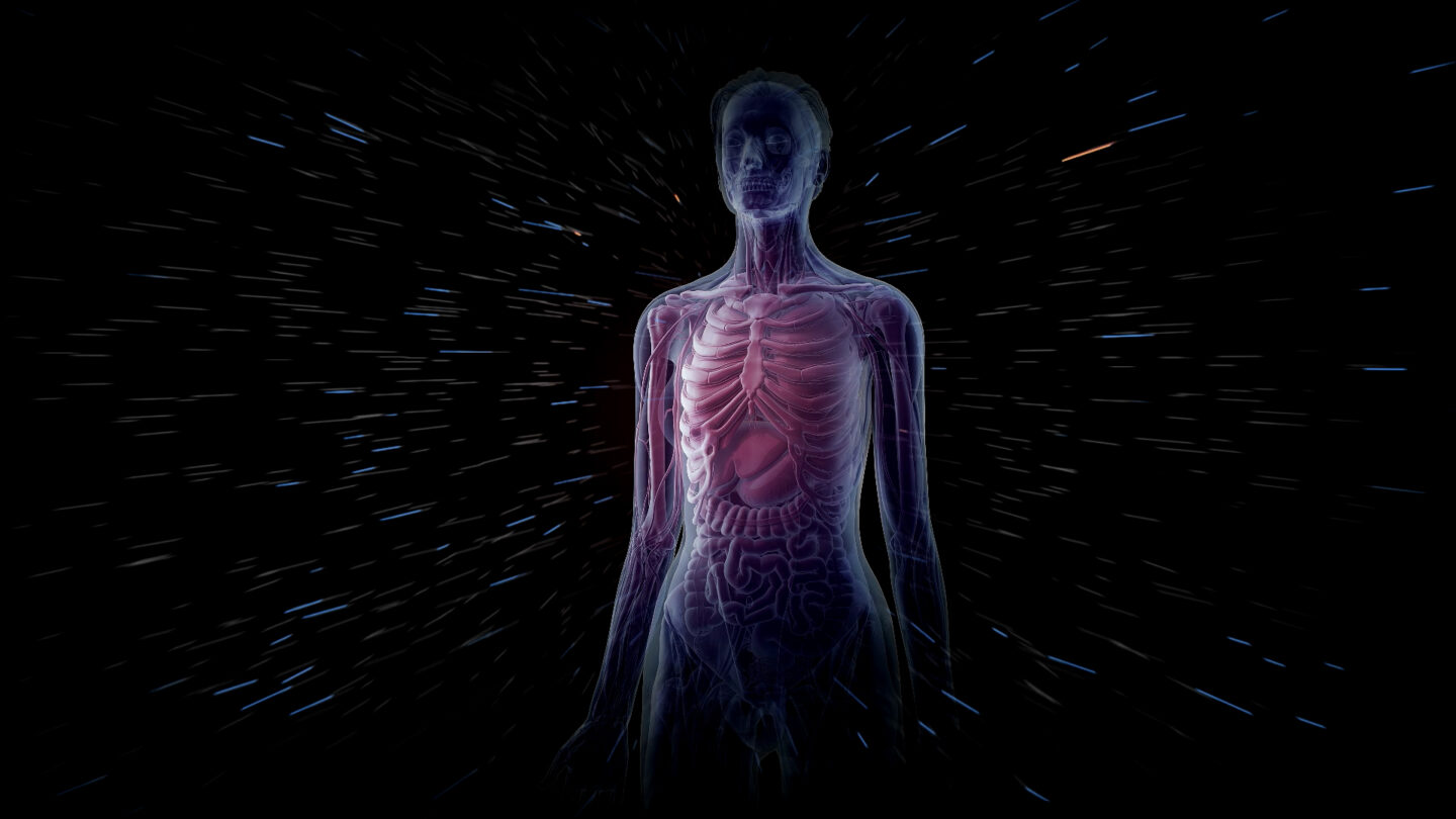 CURIOSIDADES SOBRE NUESTRO CUERPO | México Ahora CURIOSIDADES SOBRE NUESTRO CUERPO
