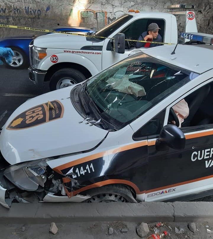 61552973_1050223718520923_7552294764146589696_n | México Ahora