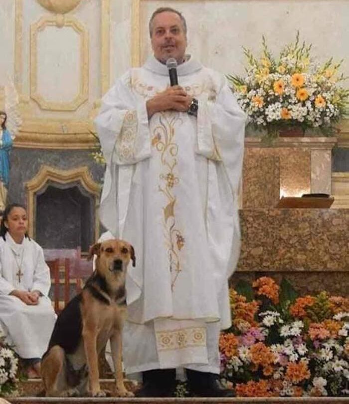 53589998_613355109112955_325476027599945728_n | México Ahora