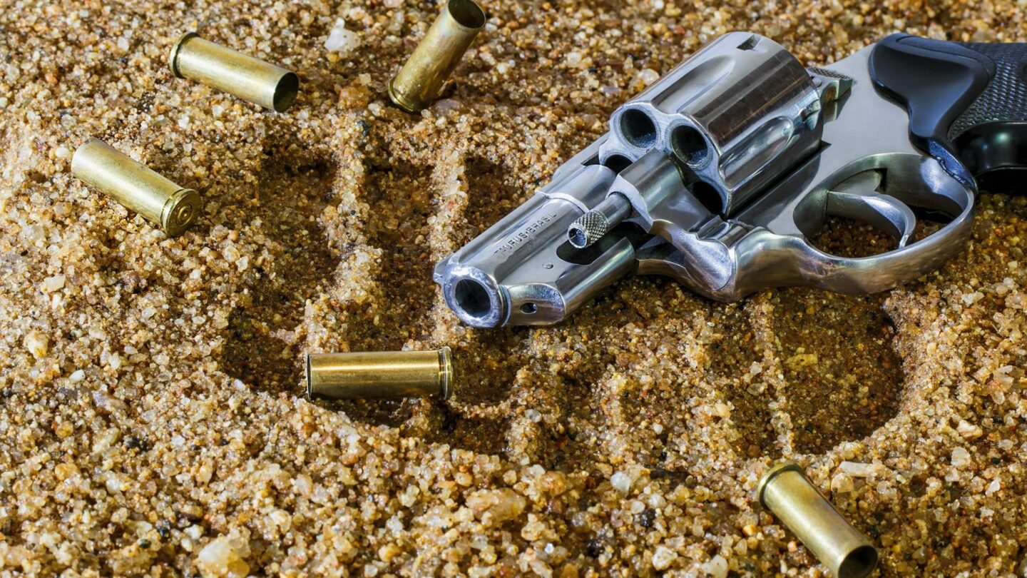 firearm-409252_1920 | México Ahora
