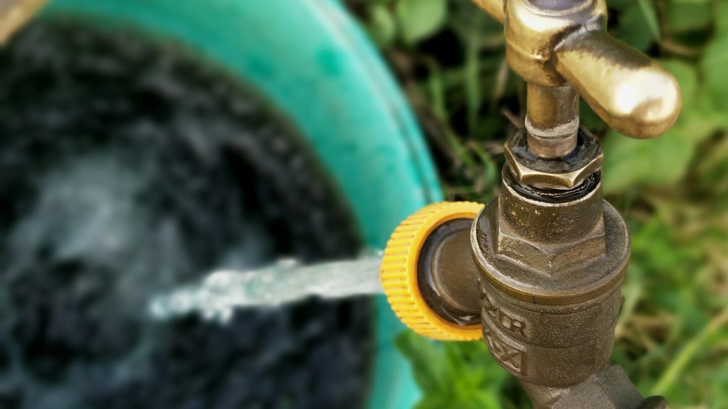 allotment-2520218_1920 | México Ahora fuga Teoloyucan