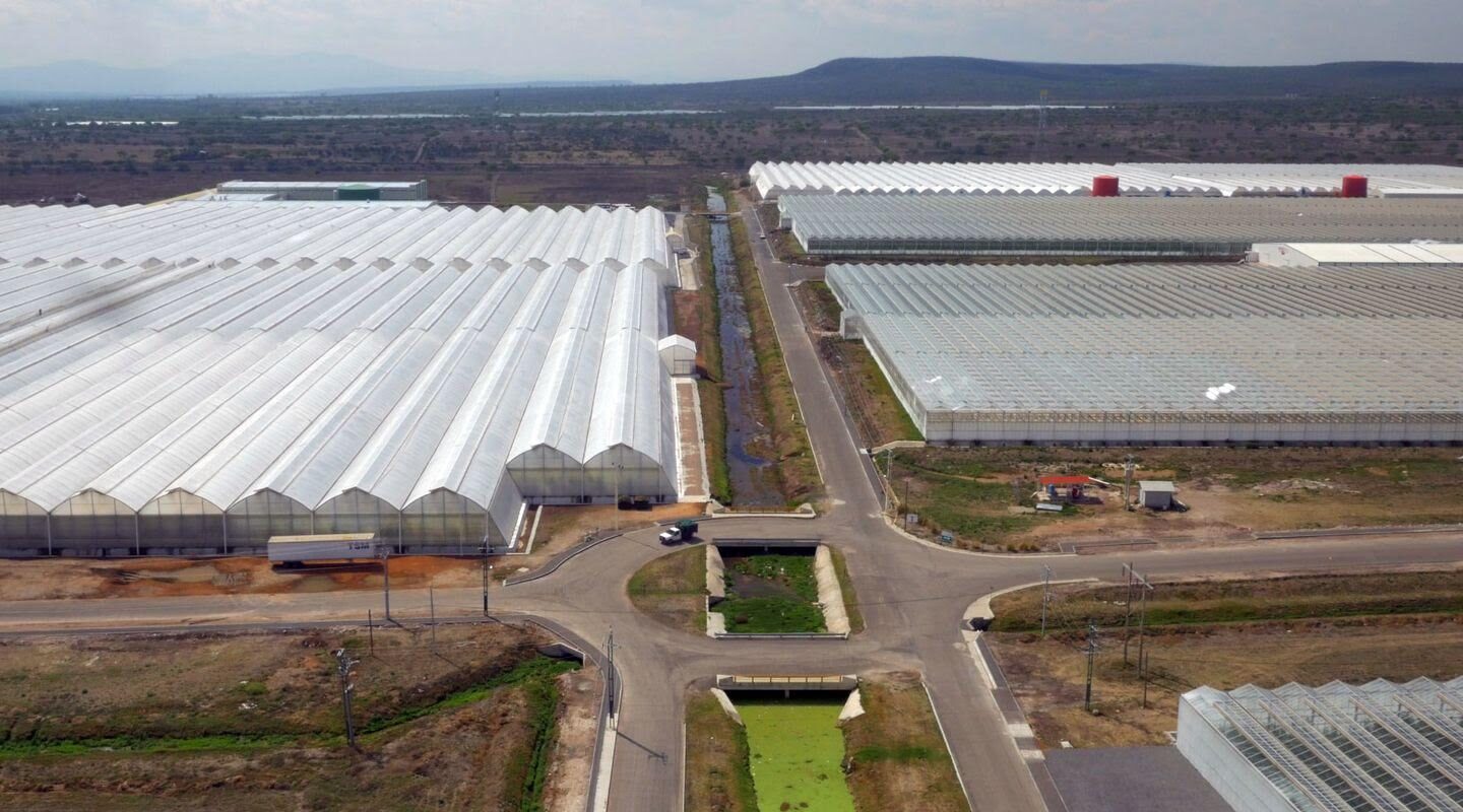9CE19D6D 30A0 4F35 A1A0 140F2D2DA80E Pese a COVID 19 crecerá agroindustria en Colón |