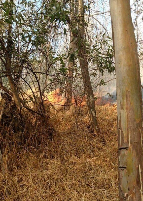 WhatsApp Image 2021 02 01 at 184207 576x1024 1 Sofoca Protección Civil Naucalpan incendio en Presa Tenantongo |