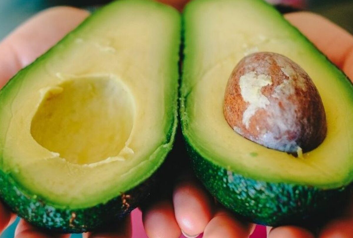 whatsapp image 2021 02 12 at 15 35 28 crop1613165939667jpeg 1199923512 Esto le pasa a tu cuerpo si consumes aguacate todos los días |