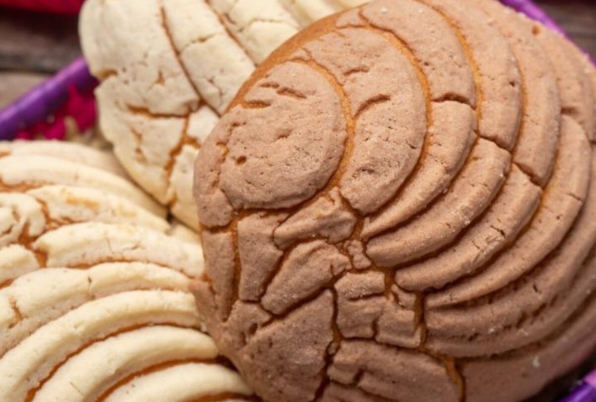 conchas crop1614896598626jpeg 1199923512 Conchas de pan dulce mexicano con receta casera fácil y rápida |