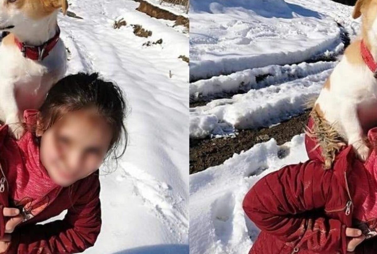 nina perro enfermo crop1614722682004jpg 1199923512 Niña recorre kilómetros en la nieve para llevar a su perro al veterinario |