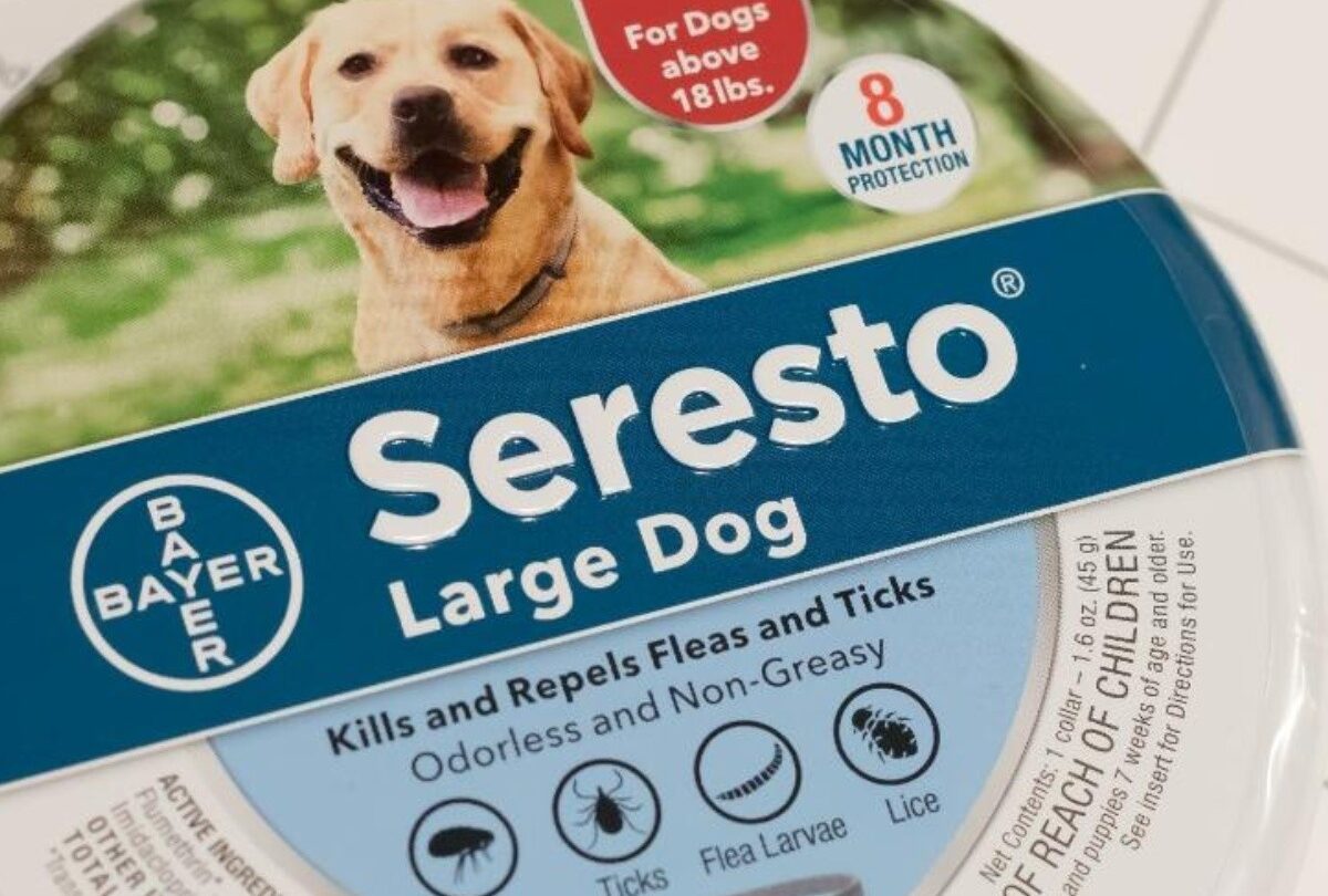 seresto collar antipulgas crop1614728991393jpeg 1199923512 Famoso collar antipulgas provoca la muerte de 1700 mascotas en Estados Unidos |