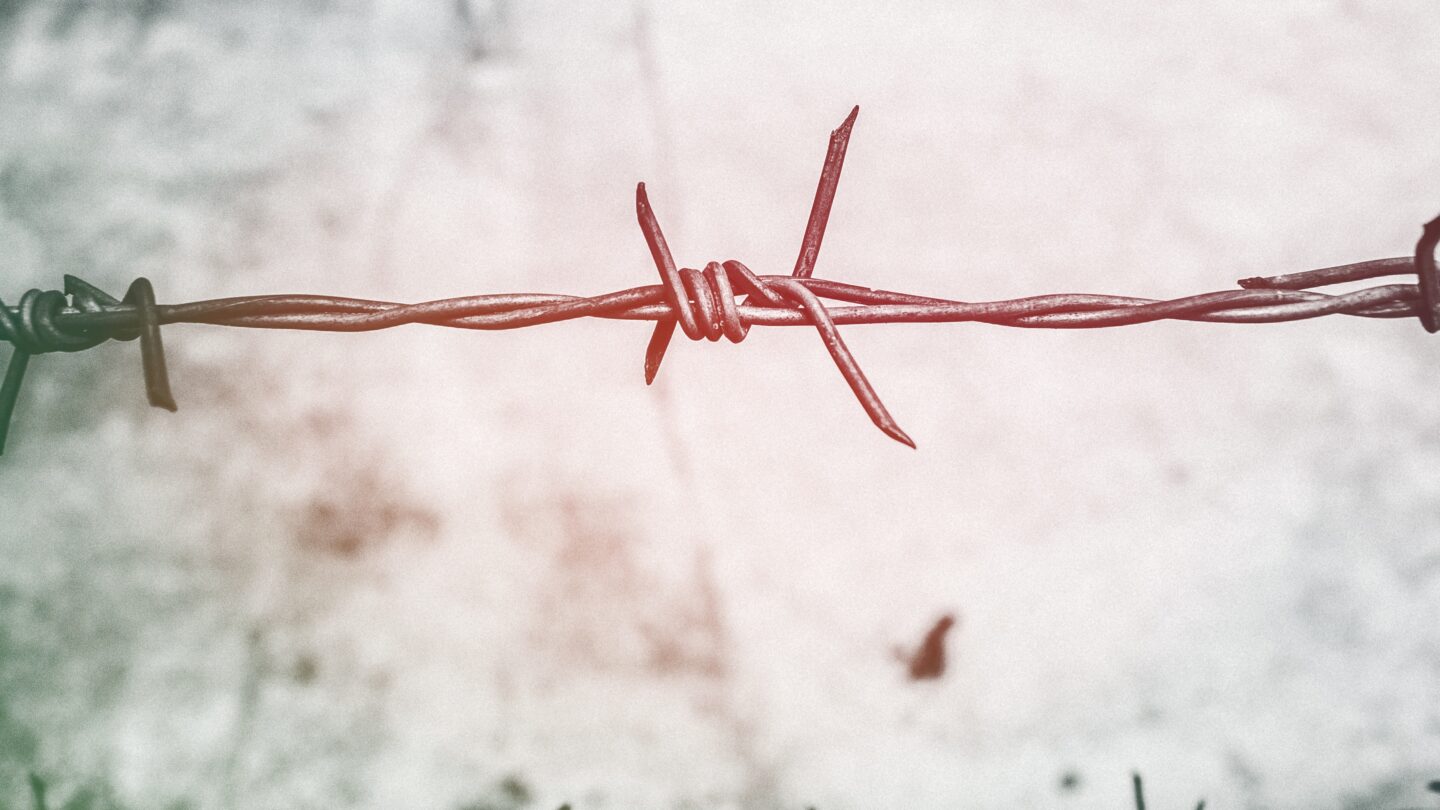 pexels-neosiam-593101 | México Ahora