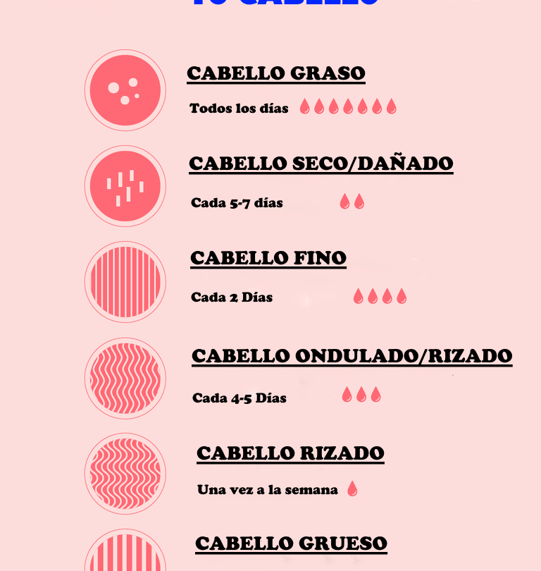 cada cuanto debemos lavarnos el cabello Cada cuánto debemos lavarnos el cabello |