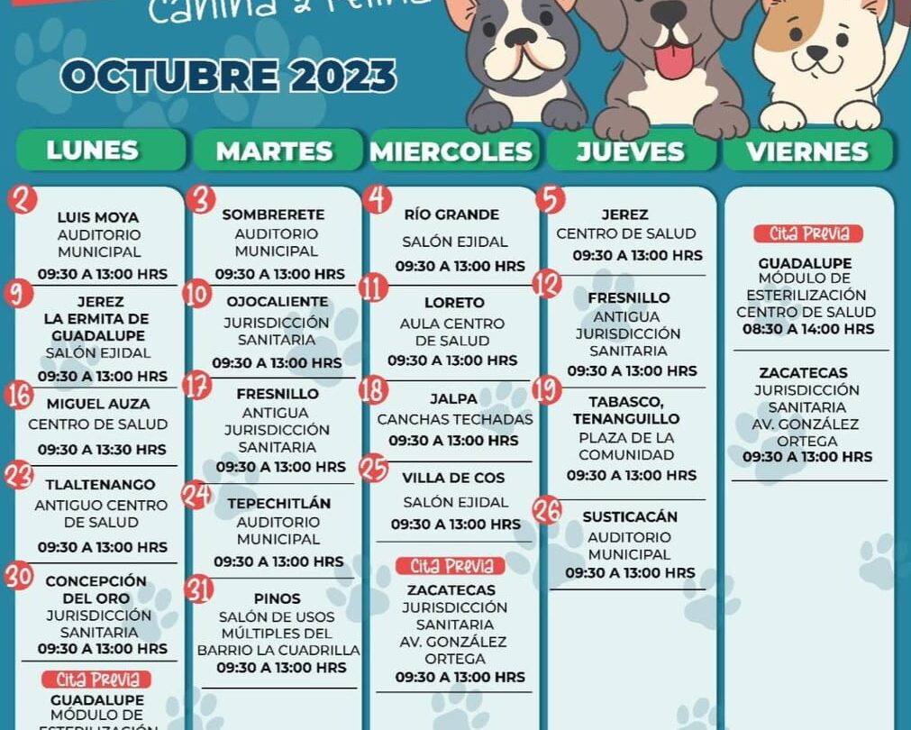 implementacion de jornada nacional de esterilizacion canina y felina en zacatecas prevencion y responsabilidad para evitar la sobrepoblacion animal Implementación de Jornada Nacional de Esterilización Canina y Felina en Zacatecas Prevención y responsabilidad para evitar la sobrepoblación animal |