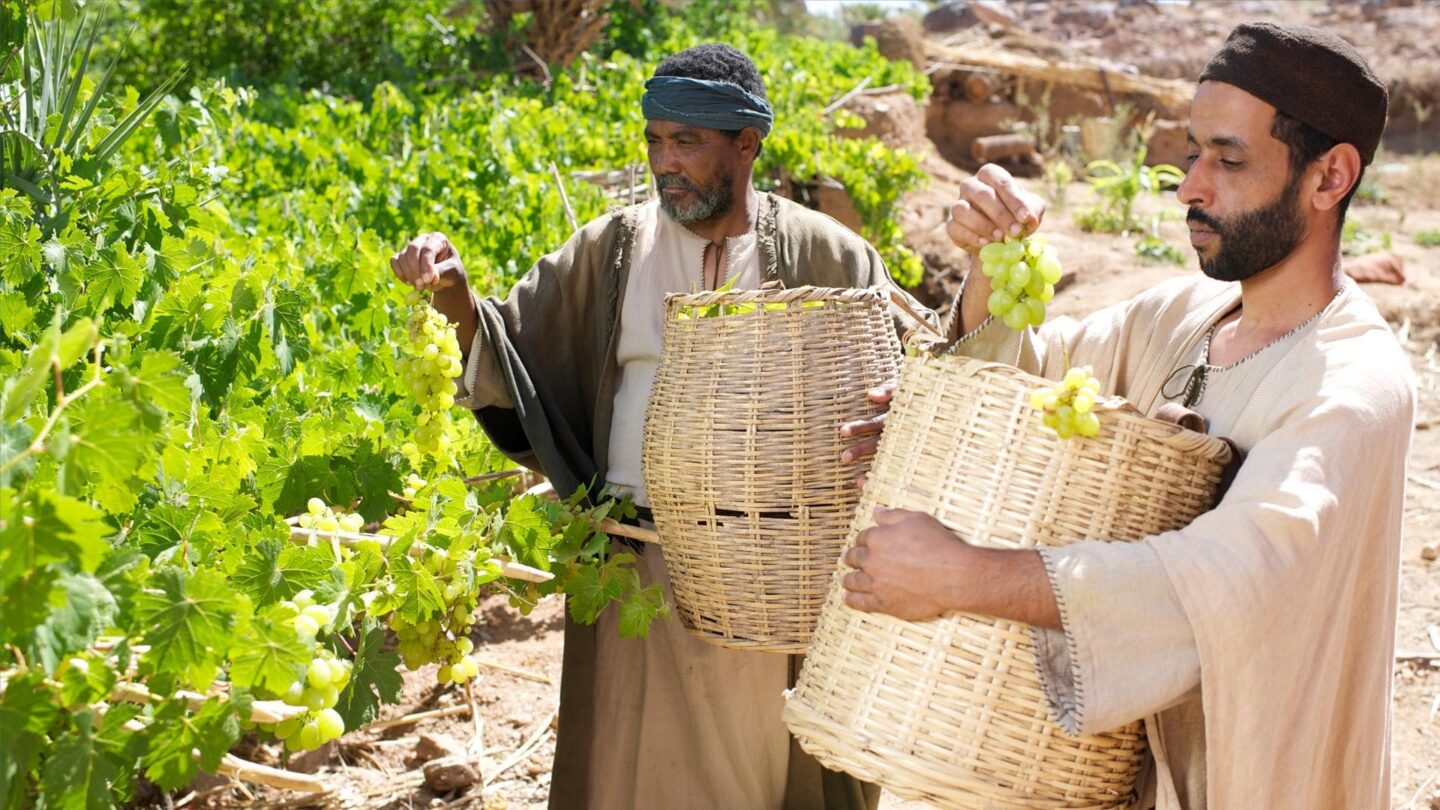 trabajar juntos en la vina del reino un llamado a la reconstruccion y la esperanza en tiempos dificiles Trabajar juntos en la viña del Reino Un llamado a la reconstrucción y la esperanza en tiempos difíciles |