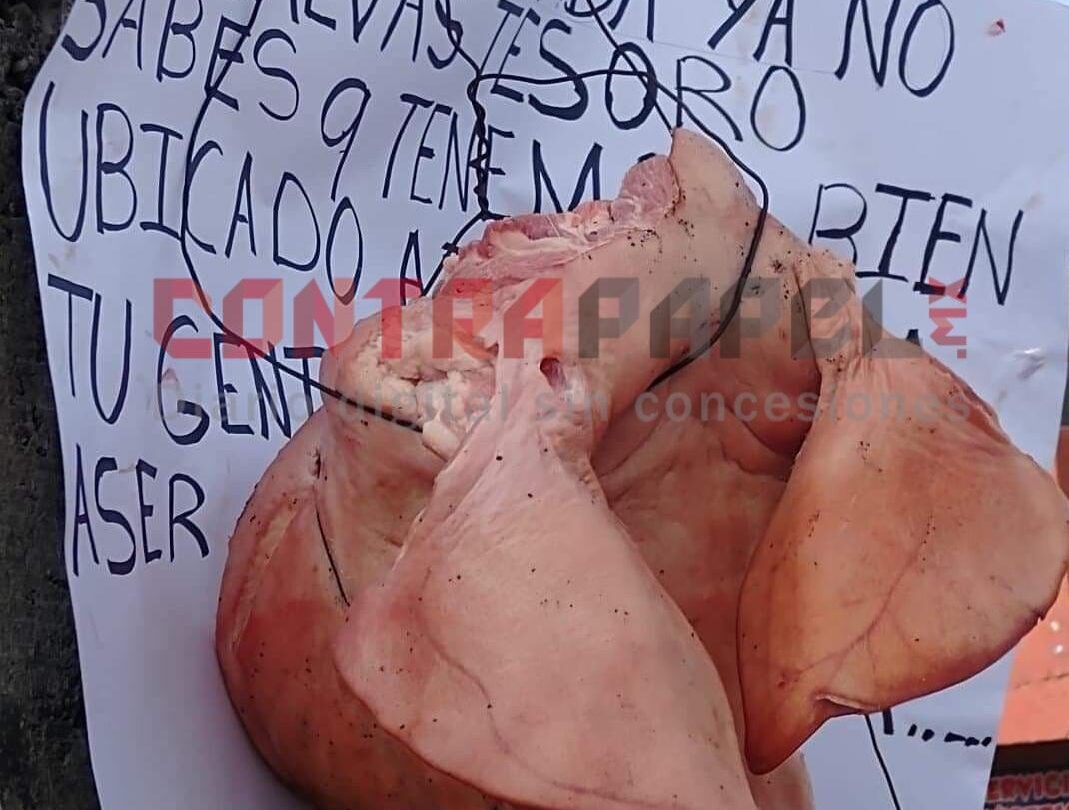 abandonan cabeza de marrano con mensaje intimidatorio contra una persona en texcoco Abandonan cabeza de marrano con mensaje intimidatorio contra una persona en Texcoco |