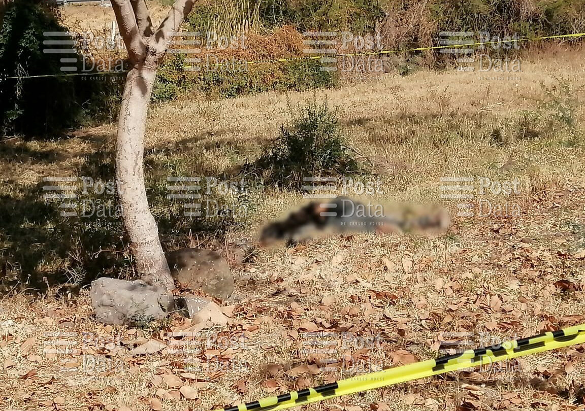 baleado y maniatado encuentran el cadaver de un hombre en tangamandapio Baleado y maniatado encuentran el cadáver de un hombre en Tangamandapio |