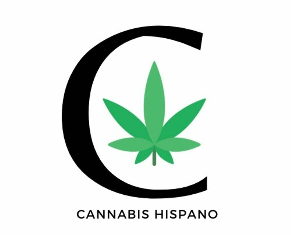 consumidores medicinales son los mas afectados por polemica en regulacion de cannabis Consumidores medicinales son los más afectados por polémica en regulación de Cannabis |