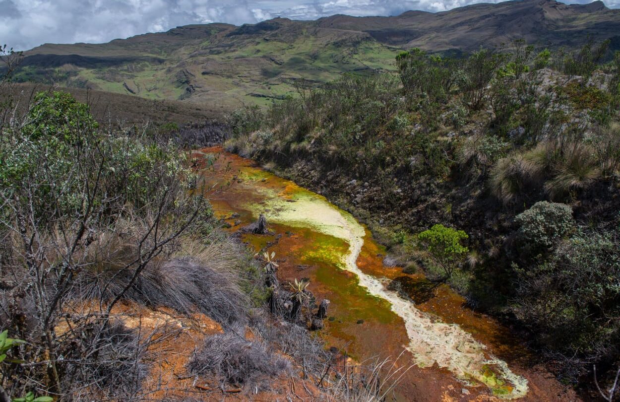 desde manana la tierra opera con sobregiro medioambiental greenpeace y el dia que marca el fin de los recursos naturales Desde mañana la Tierra opera con sobregiro medioambiental Greenpeace y el día que marca el fin de los recursos naturales |