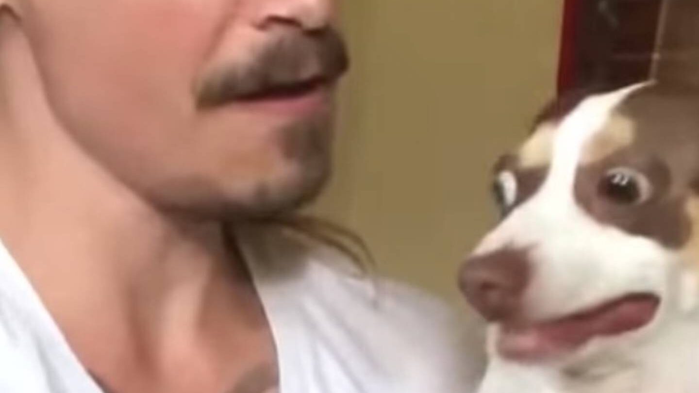fotovideo el perro que odia que lo besen es una estrella en las redes sociales Foto+Video El perro que odia que lo besen es una estrella en las redes sociales |