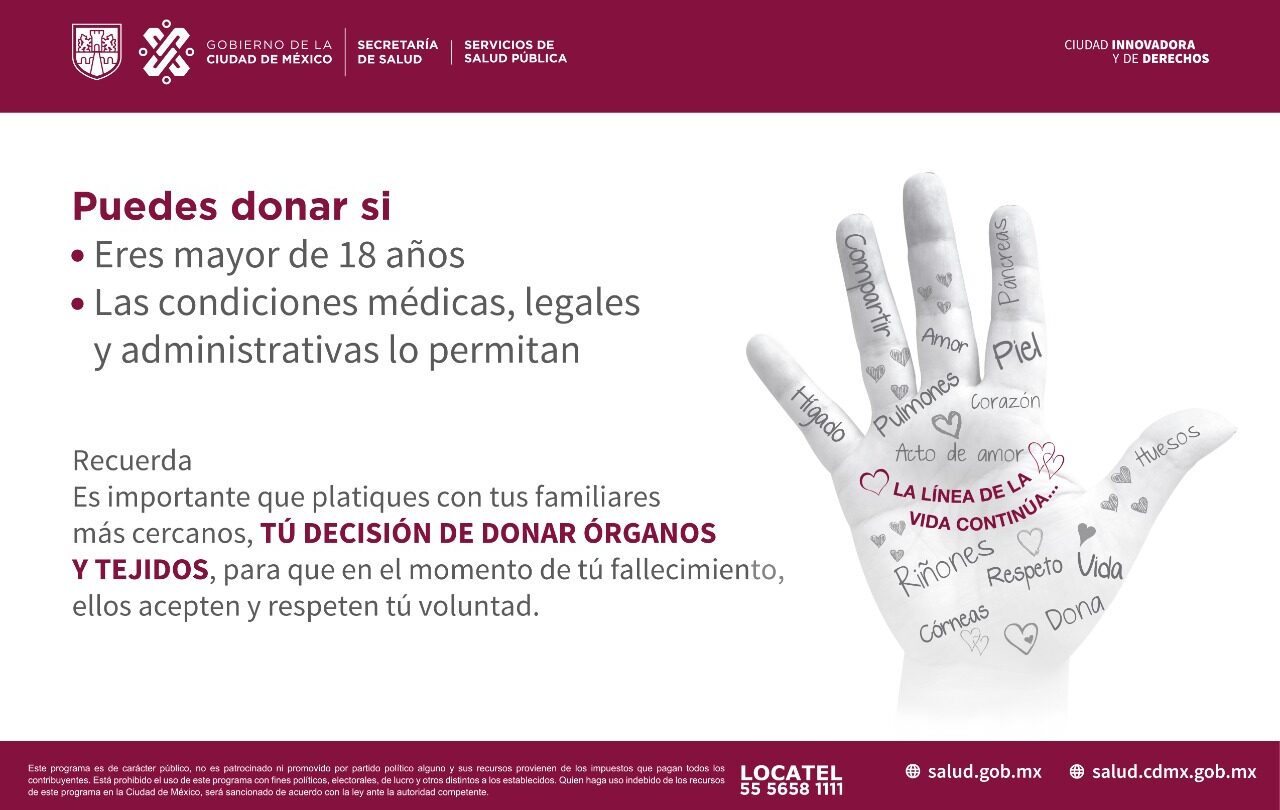 la donacion de organos en mexico La Donación de Órganos en México |