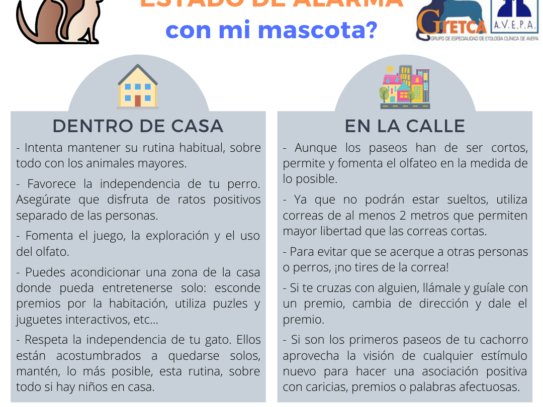 guia para mantener distraido a un perro en tiempos de pandemia Guía para mantener distraído a un perro en tiempos de pandemia |