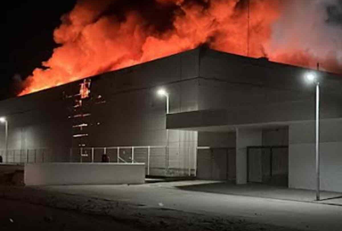 incendio en planta de moscas esteriles en tapachula con material radiactivo que consecuencias tendra para el empleo en la region Incendio en planta de Moscas estériles en Tapachula con material radiactivo qué consecuencias tendrá para el empleo en la región |