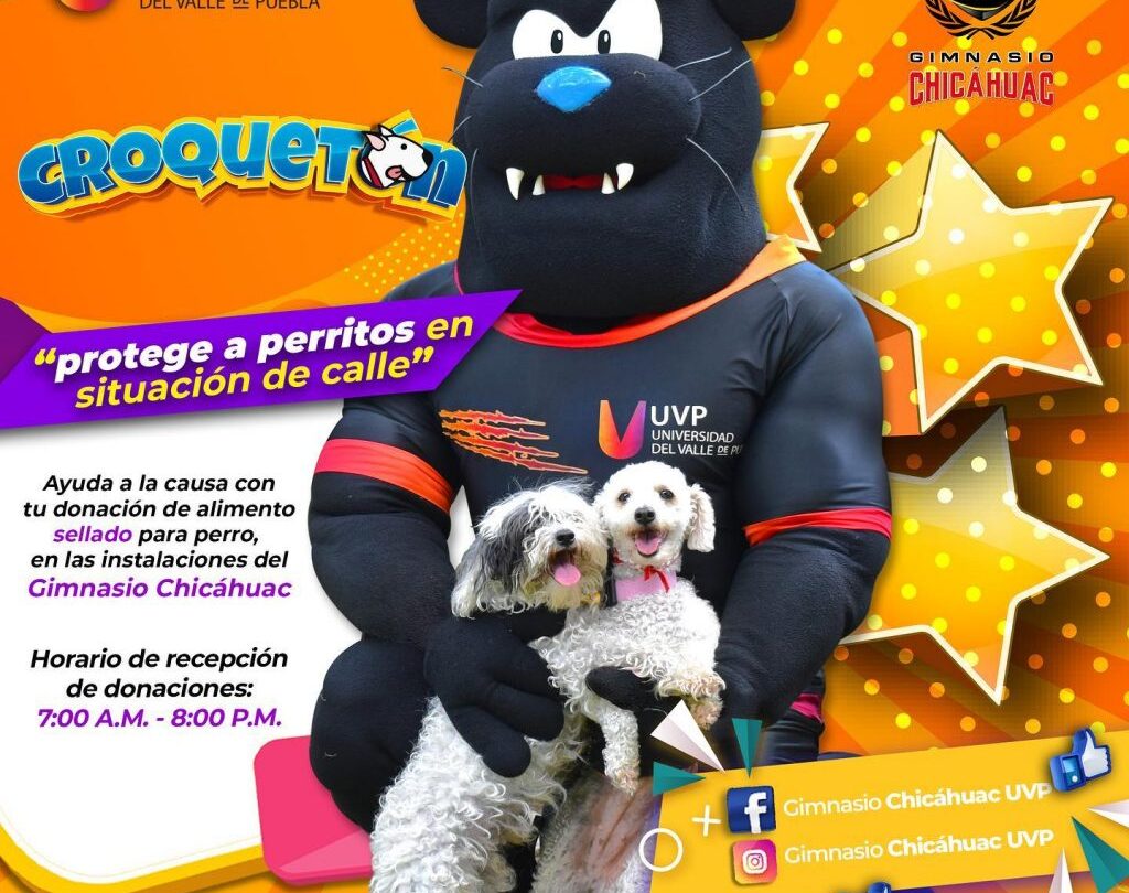 inicia el croqueton colecta de alimento para perros en situacion de calle Inicia el Croqueton colecta de alimento para perros en situación de calle |