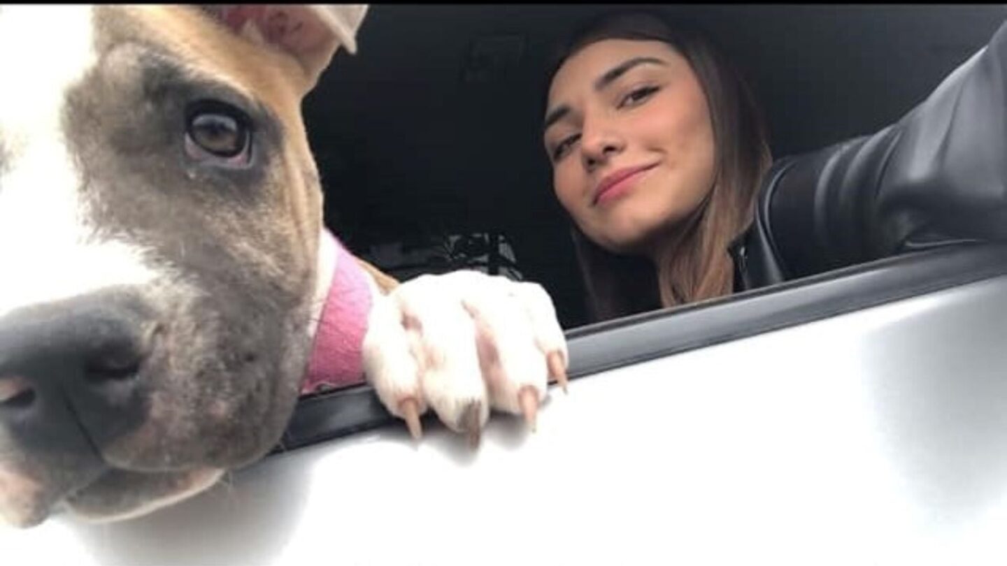 la conmovedora historia del perrito que se quedo junto al cuerpo de su duena fallecida por un accidente vehicular La conmovedora historia del perrito que se quedó junto al cuerpo de su dueña fallecida por un accidente vehicular |