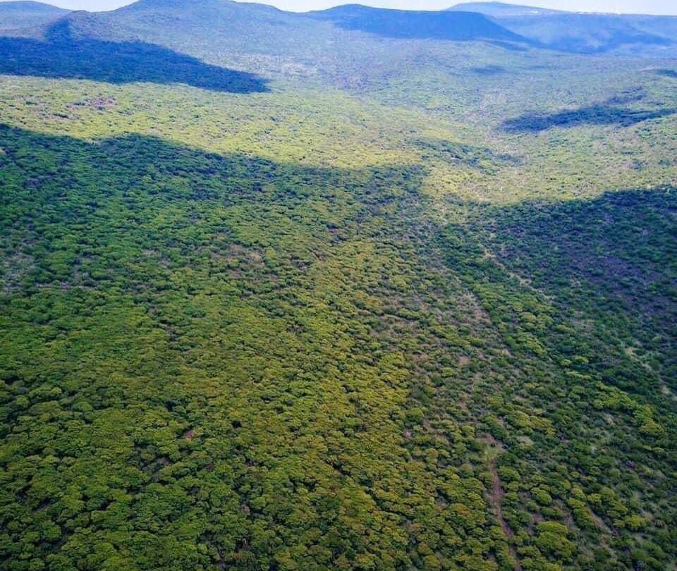 marco del prete impulsa la creacion de nuevas areas naturales protegidas en queretaro Marco del Prete impulsa la creación de nuevas áreas naturales protegidas en Querétaro |