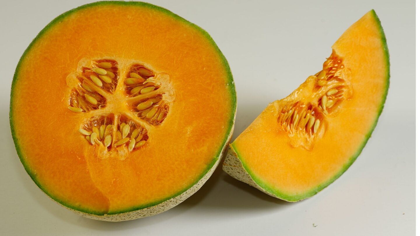 muertes por salmonela en canada el brote relacionado con melones mexicanos se extiende a estados unidos Muertes por salmonela en Canadá el brote relacionado con melones mexicanos se extiende a Estados Unidos |