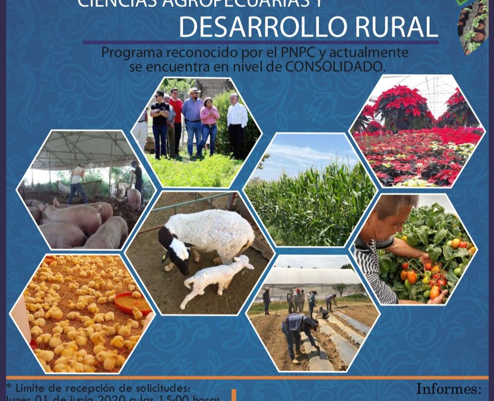 ofrecen en uaem maestrias en ciencias agropecuarias y rurales Ofrecen en UAEM maestrías en Ciencias Agropecuarias y Rurales |