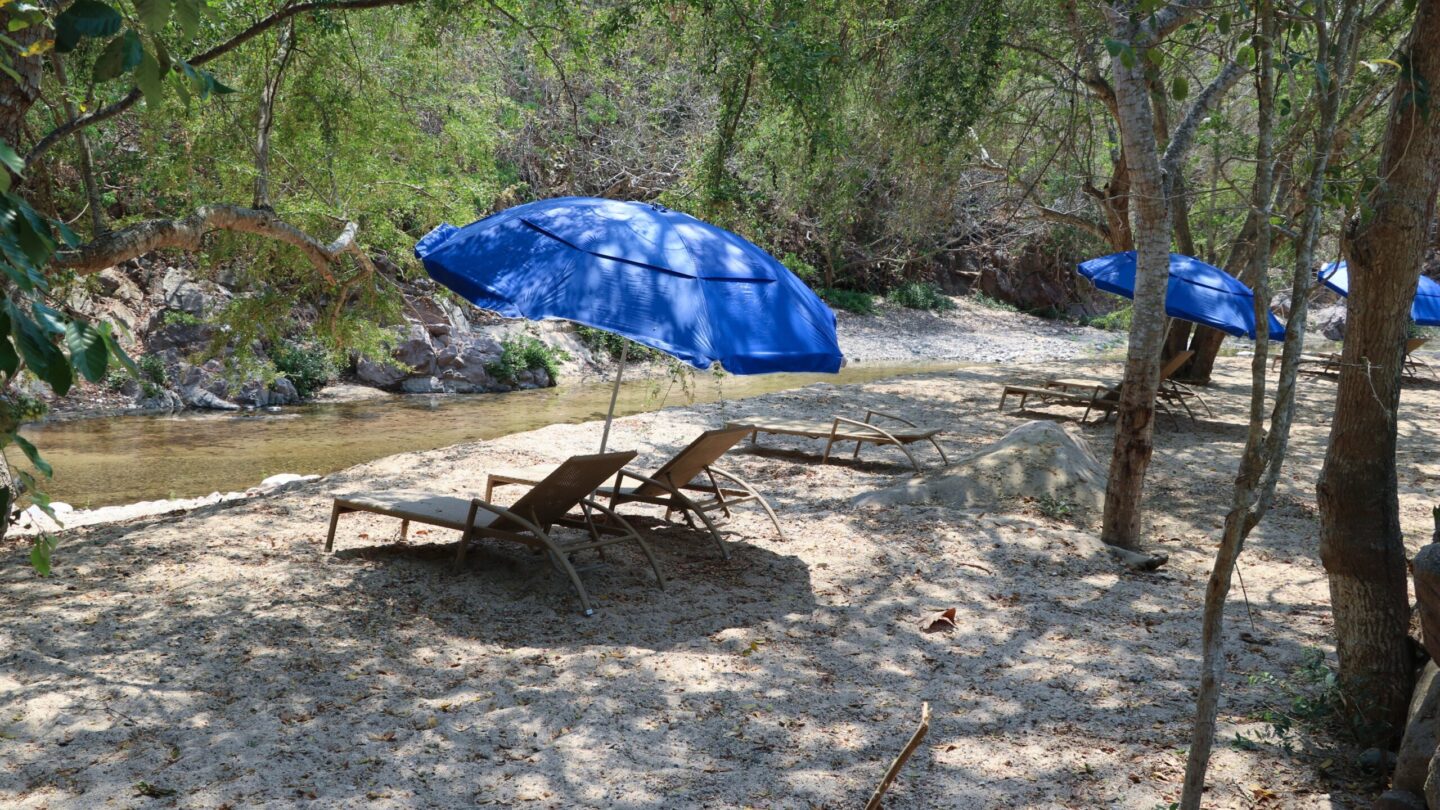 parque ecologico xihutla importante proyecto turistico para vallarta Parque Ecológico Xihutla importante proyecto turístico para Vallarta |
