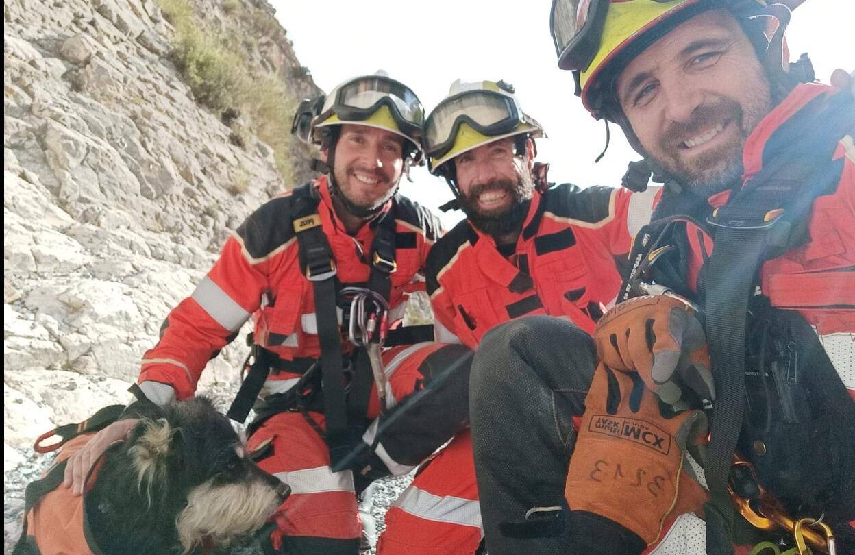 rescate exitoso proteccion civil y bomberos de fresnillo salvan a perro atrapado en casa abandonada Rescate exitoso Protección Civil y Bomberos de Fresnillo salvan a perro atrapado en casa abandonada |