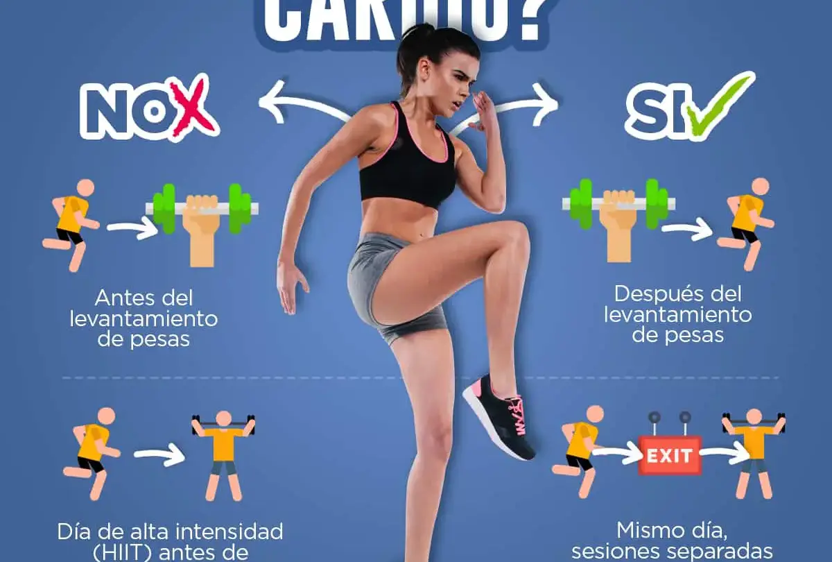 si haces entrenamiento de fuerza debes hacer cardio despues para bajar de peso Si haces entrenamiento de fuerza debes hacer cardio después para bajar de peso |