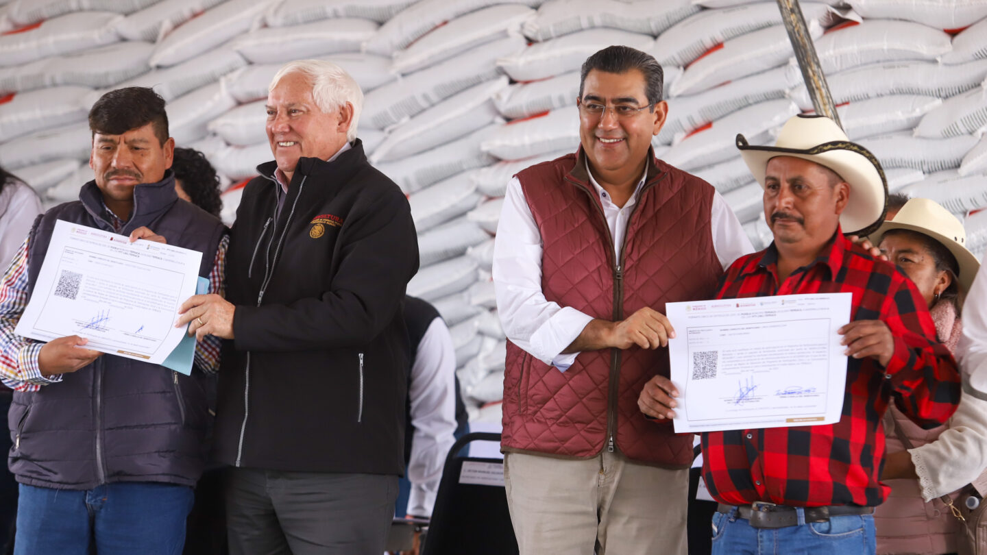 GOB SS CP 024-2024 TEPEACA tema Campo 190124 2 | México Ahora