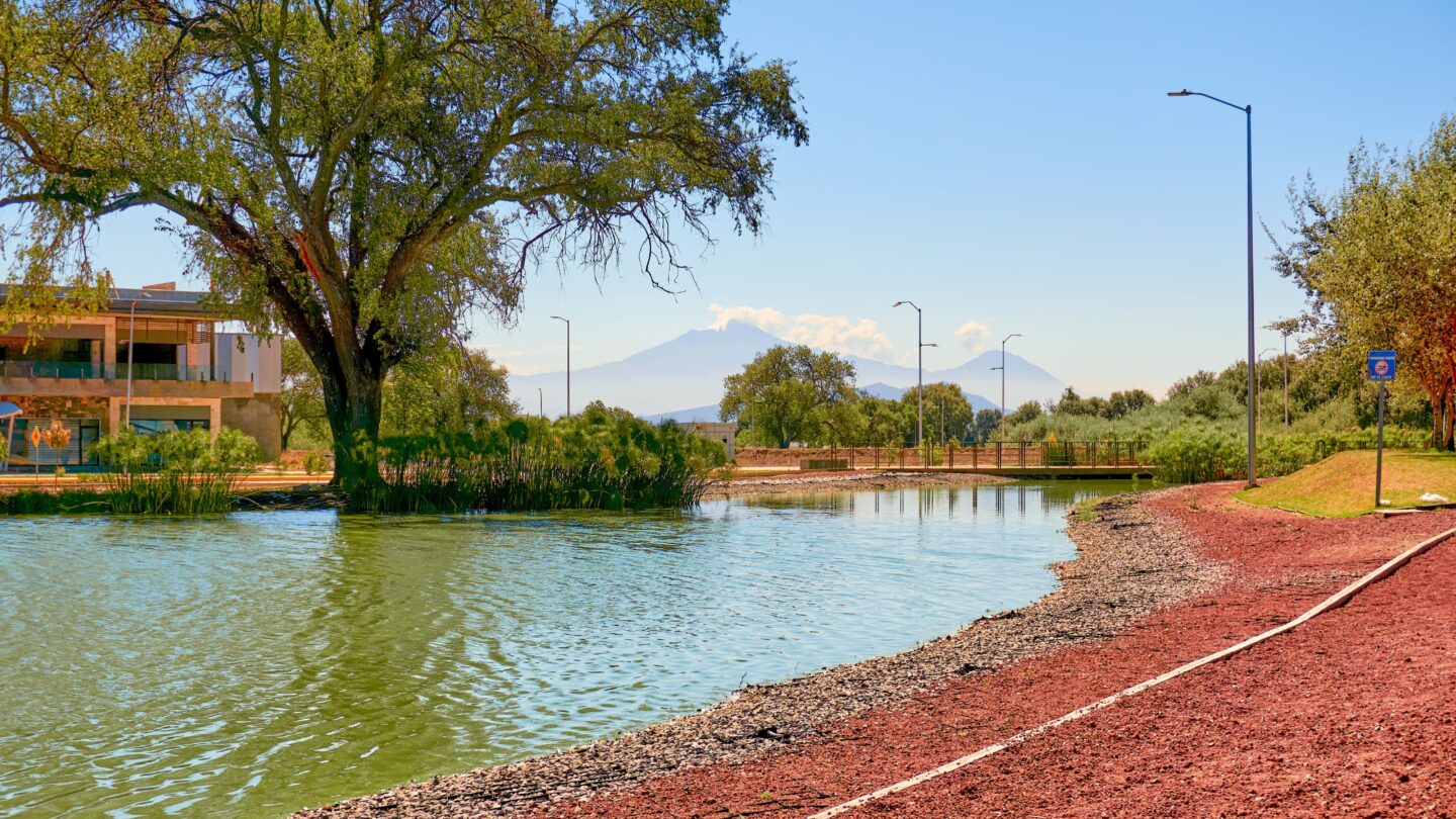 Reforesta3 | México Ahora Trabaja gobierno de Puebla en desarrollo sustentable y sostenible para Ciudad Modelo
