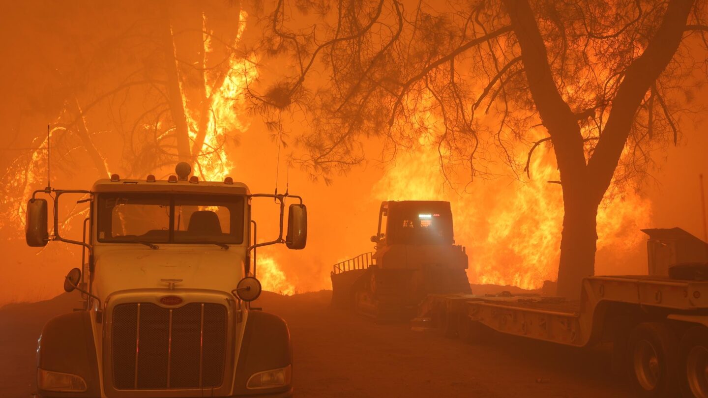 el incendio park de california sin control y en aumento obliga a desalojos y cierre de carreteras El incendio Park de California sin control y en aumento obliga a desalojos y cierre de carreteras |