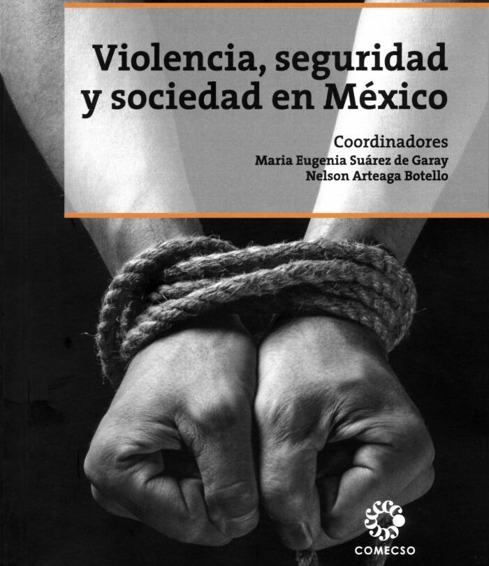 violencia y seguridad en el estado de mexico una mirada a los sucesos recientes Violencia y seguridad en el Estado de México una mirada a los sucesos recientes |