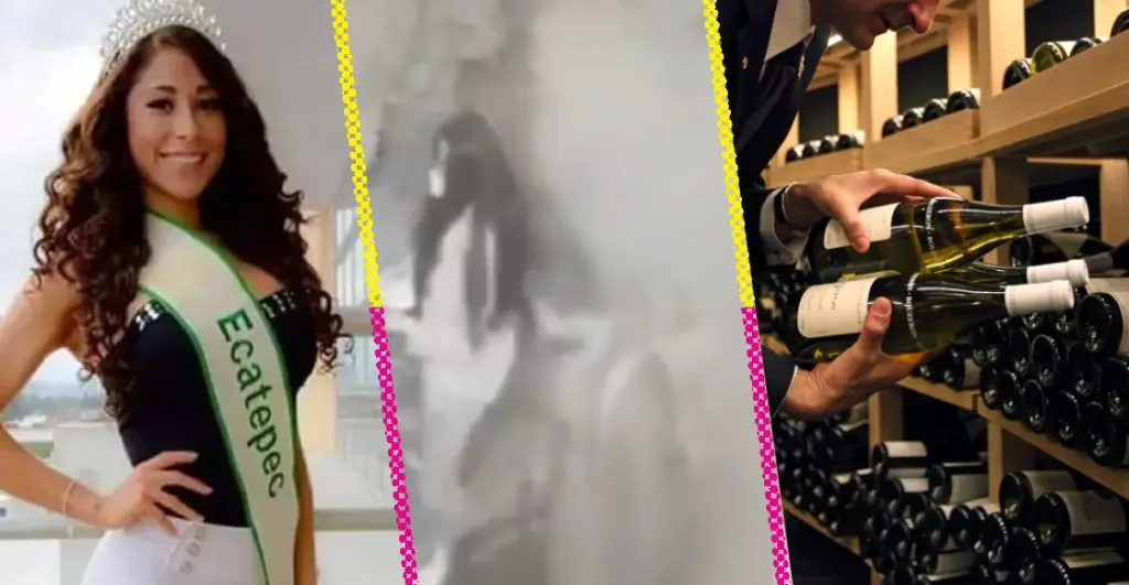 priscila-lara-mexicana-robo-vino-espana | México Ahora
