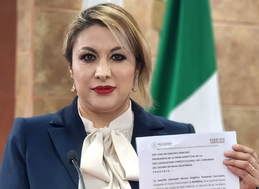 DIPUTADA ANGÉLICA PEÑALOZA 2 | México Ahora