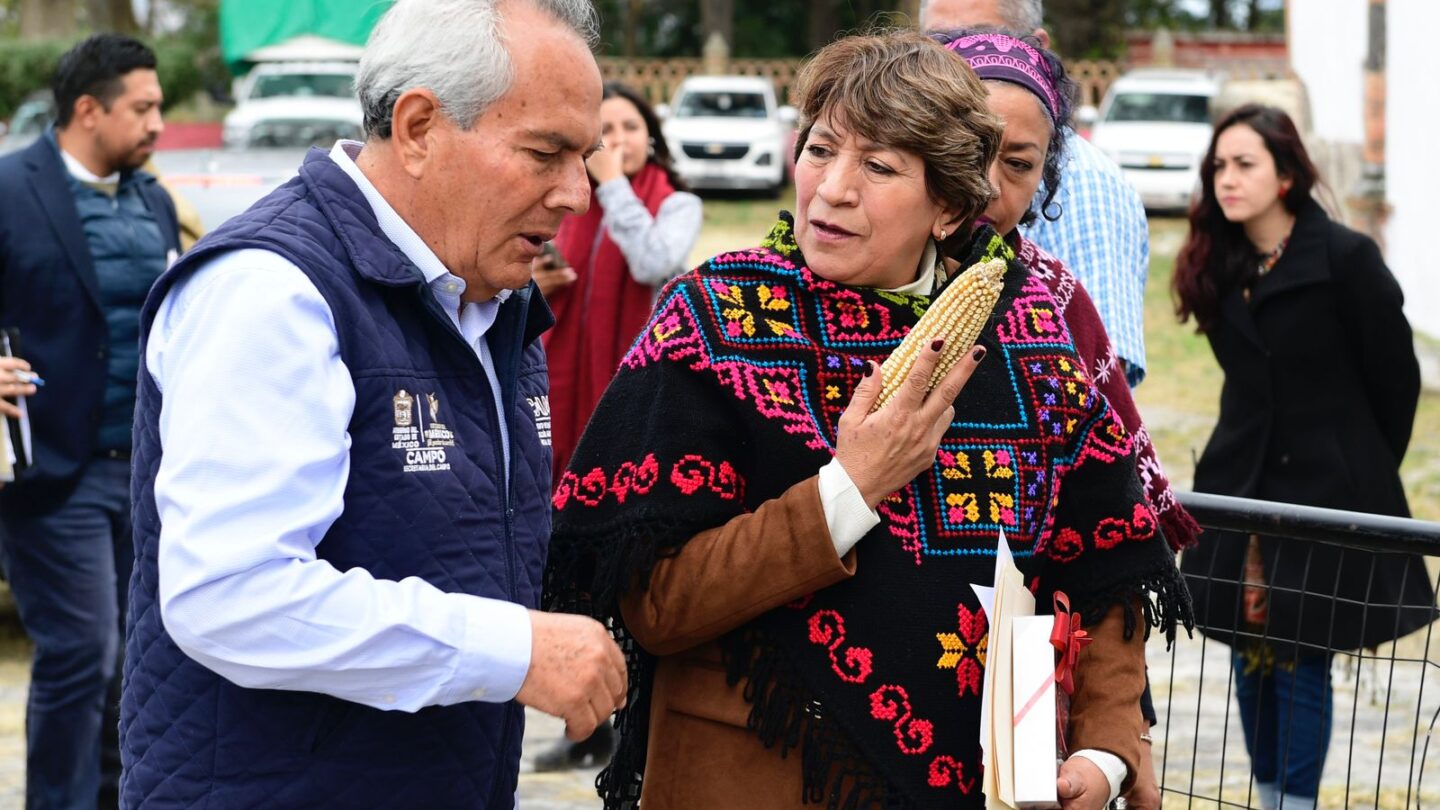 apoyaran-al-campo-mexiquense-con-subsidio-al-precio-del-maiz-blanco | México Ahora