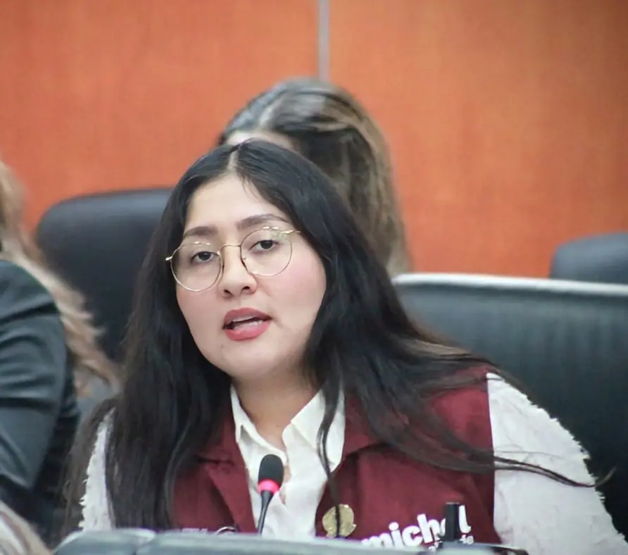 diputada-michel-sesion-ordinaria-del-pleno | México Ahora